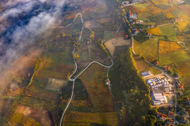 Cantina Colle Moro Soc. Coop. Agricola Frisa 
