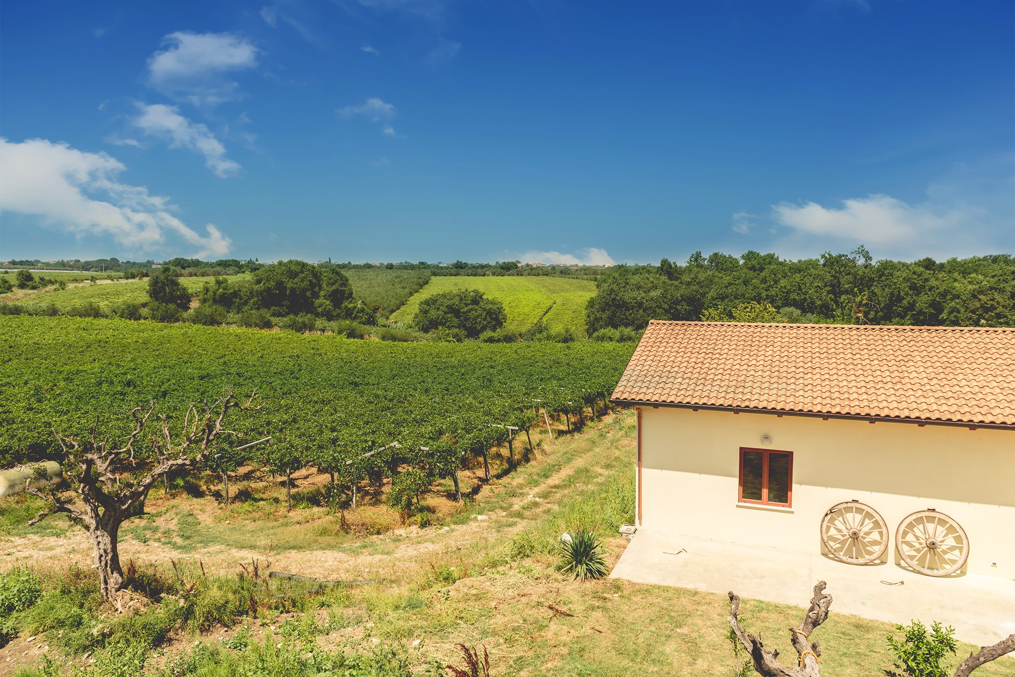 Cantine Caravaggio