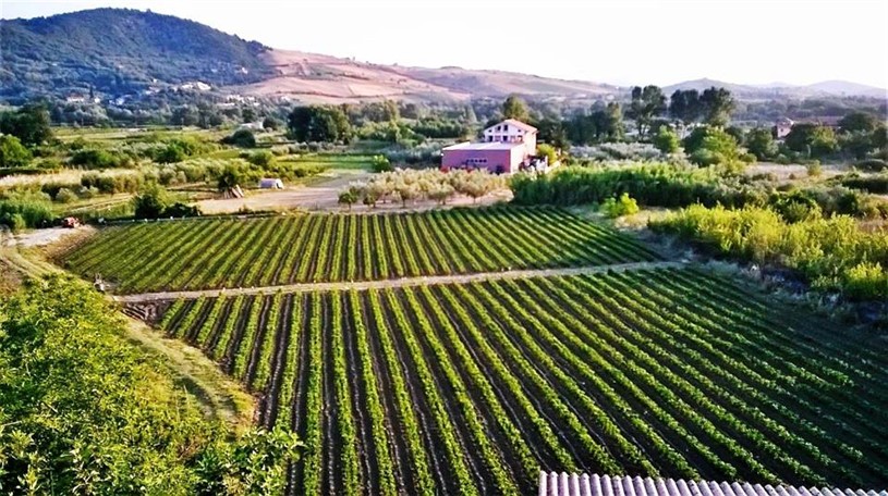 La Tavola dei Briganti Prodotti Tipici Altino