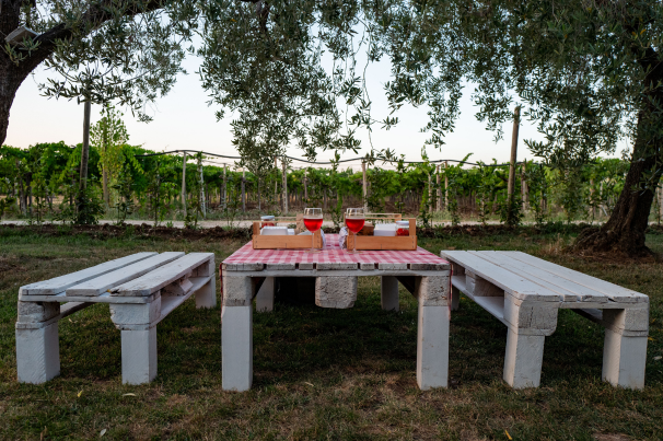 Azienda Agricola La Vinarte Santa Maria Imbaro