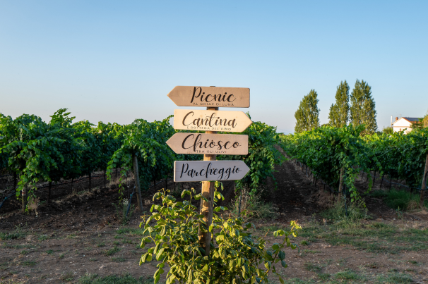 Azienda Agricola La Vinarte Santa Maria Imbaro