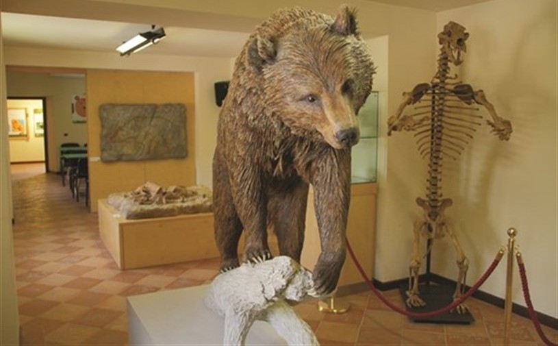 Museo dell'Orso Marsicano Palena
