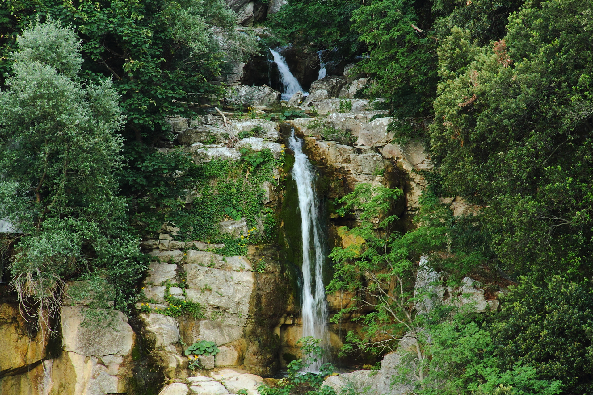 Riserva Naturale Regionale Cascate del Rio Verde Borrello