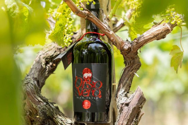Tenuta Micoli